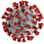 Bild vom Coronavirus